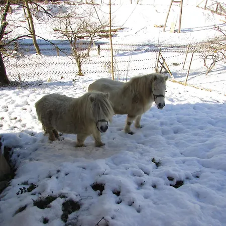 Turisticna Kmetija Lipnik Apartmán