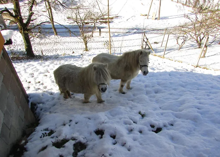 Turisticna Kmetija Lipnik Apartment